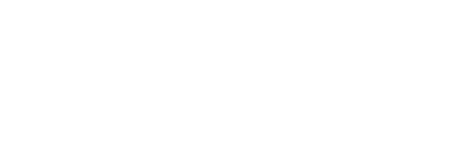 dela logo white