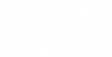 logo sap